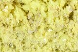 2.9" Sulfur Crystal Cluster - Steamboat Springs, Nevada - #129742-1
